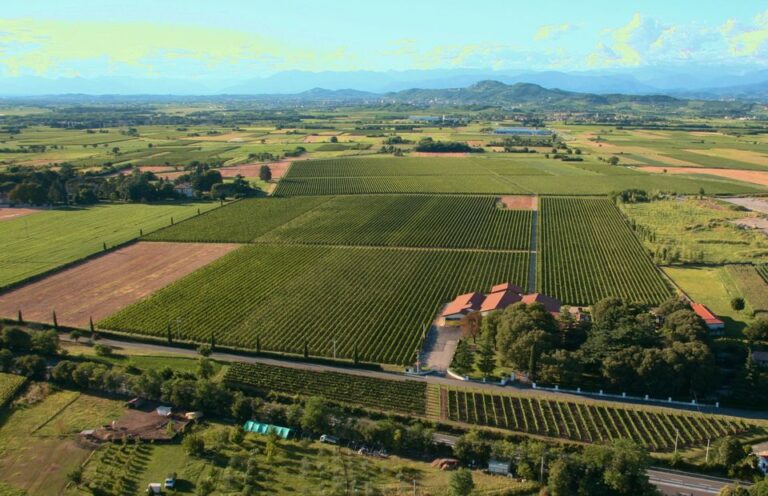 Azienda Agricola San Elena